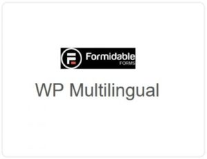 Formidable Forms – WP Multilingual